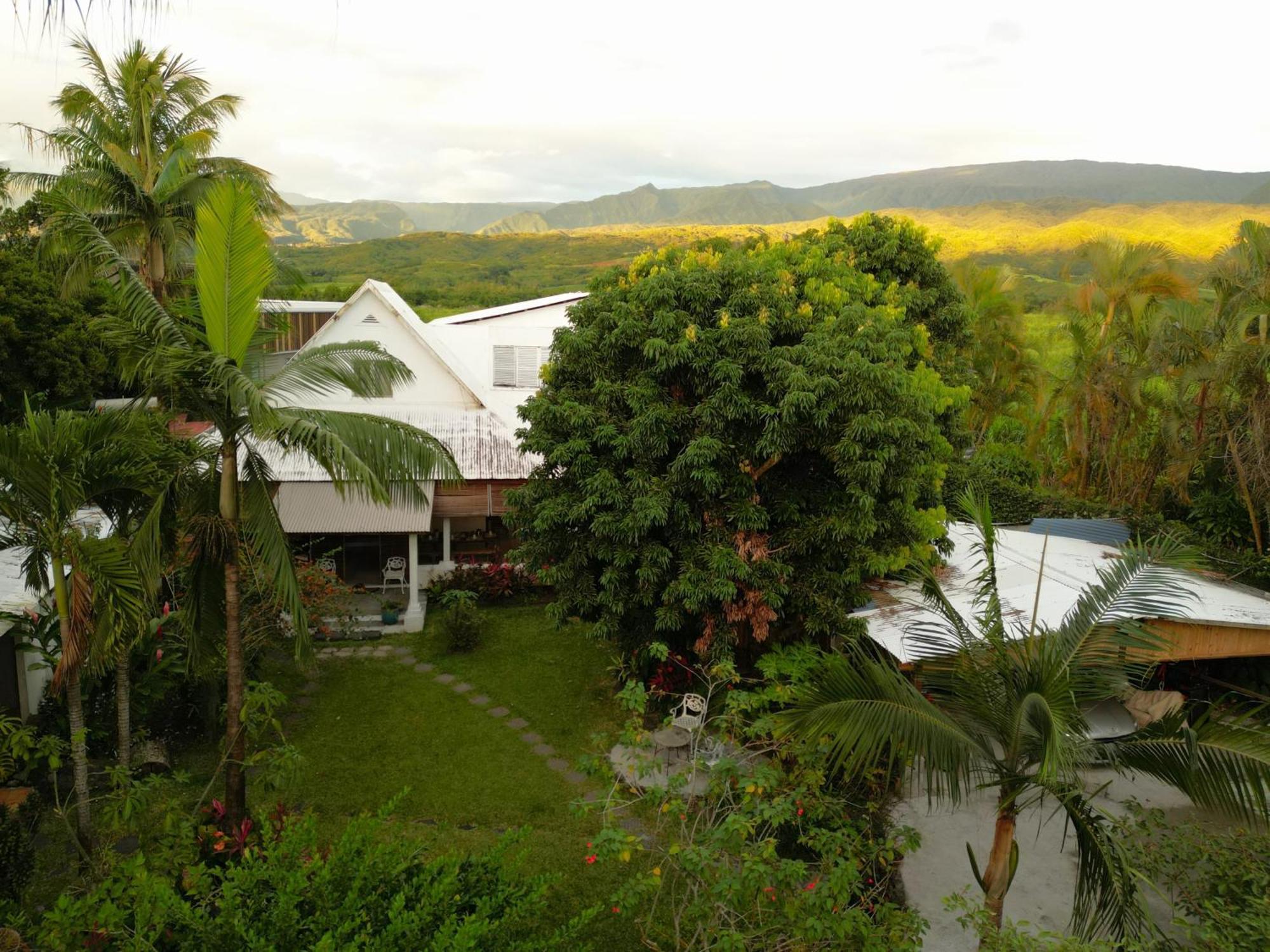 Le Medinilla Bed & Breakfast Bras-Panon Luaran gambar
